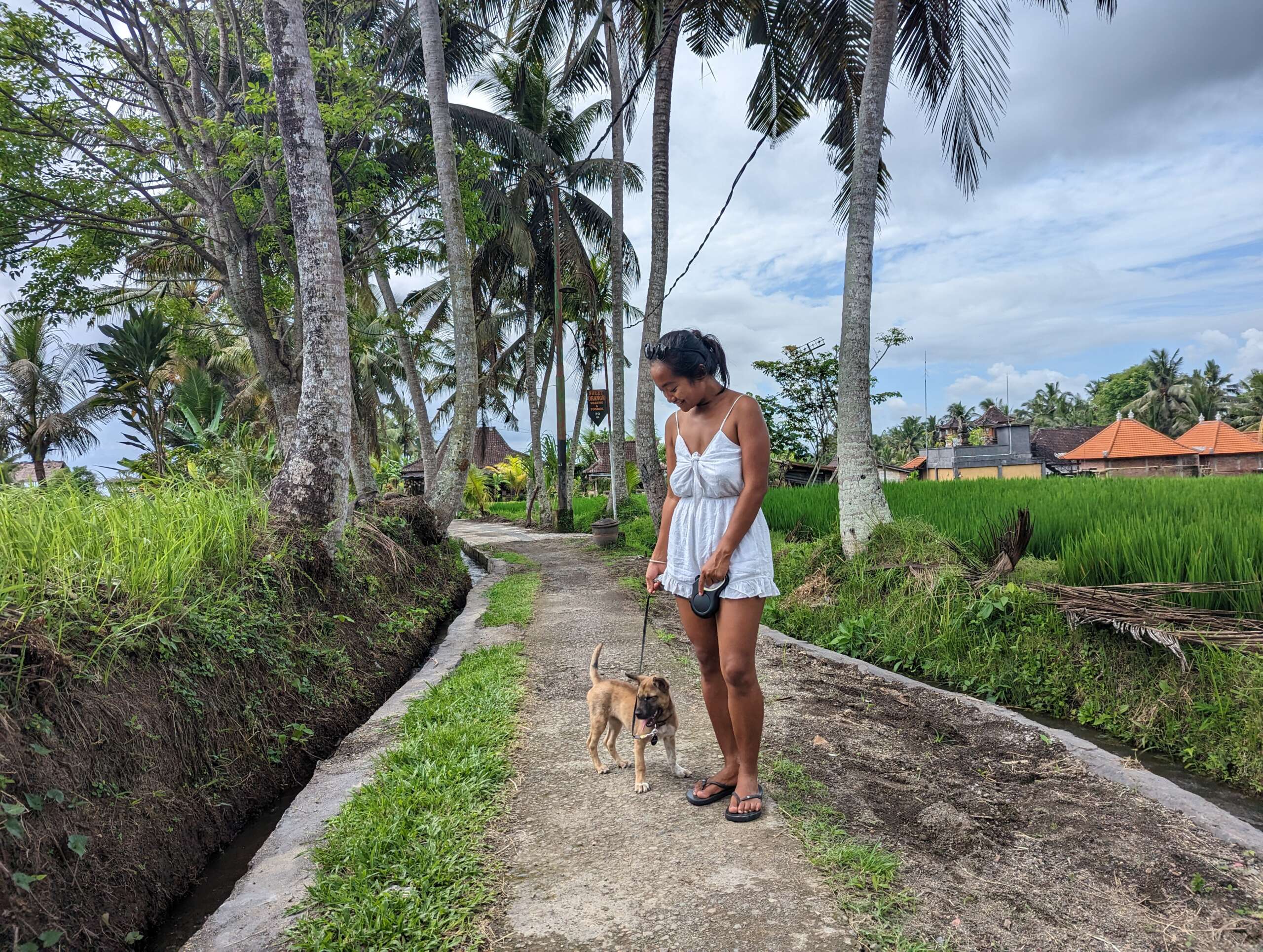 Ika and Mila enjoying their walk at Kajeng Rice Field
