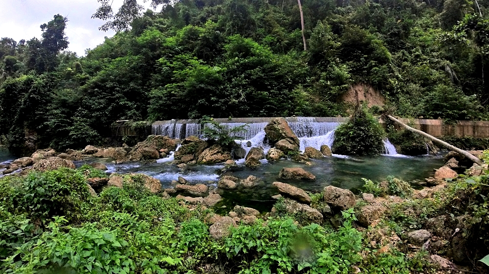 Stunning nature at Kawasan Falls Canyoneering Moalboal