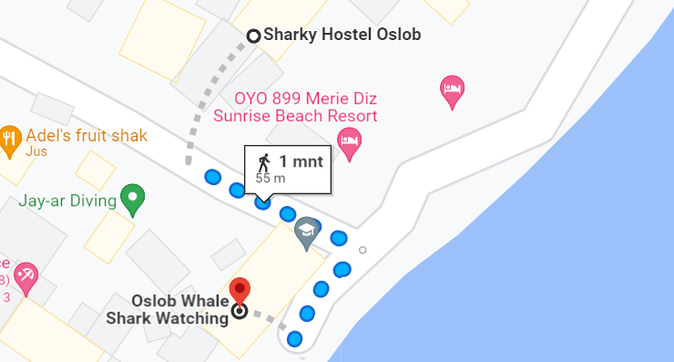 Map of Oslob for Whale Shark watching