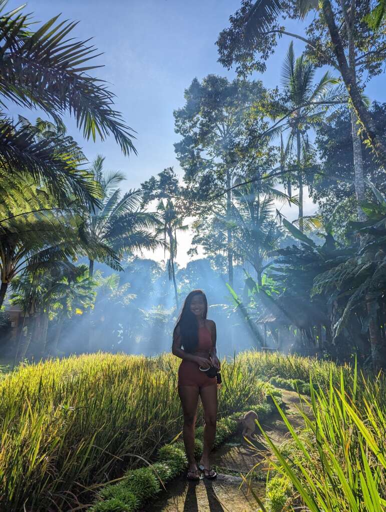 Magical morning hours in Taro Village with sunrise, coconuts and green grass.