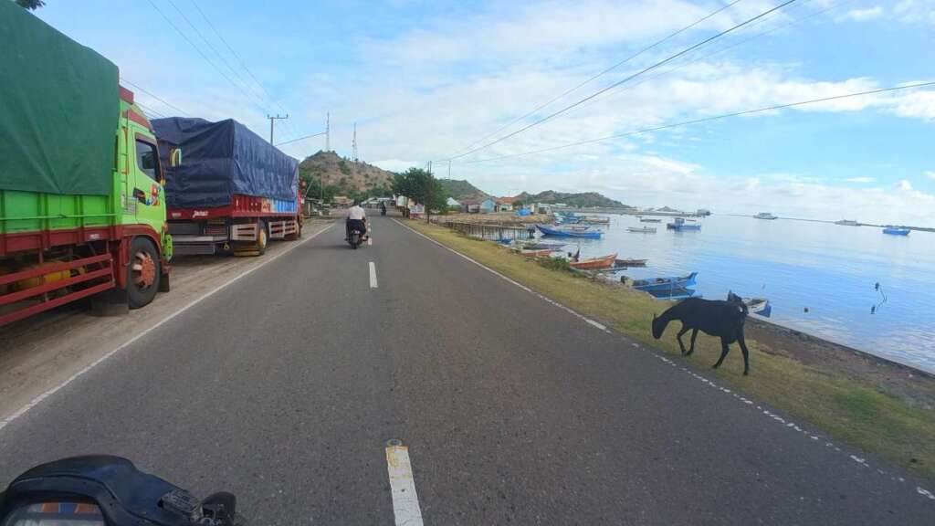 Road in Sumbawa next to the coast