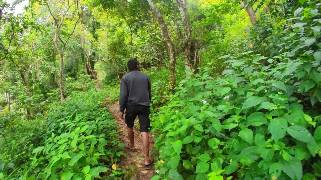 Jungle trakking with local guide at Agal waterfall